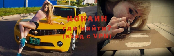 твердый Алексеевка